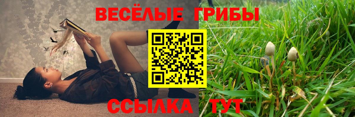 Галлюциногенные грибы мицелий  Вход с VPN  Галлюциногенные грибы мицелий  Новокуйбышевск 