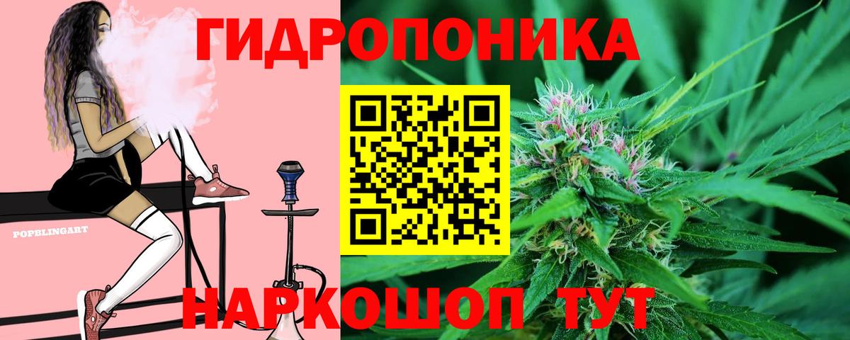 Каннабис гибрид Новокуйбышевск